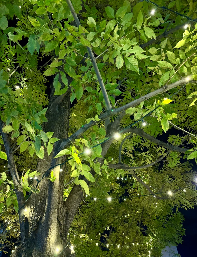 GIF uploaded by Thena