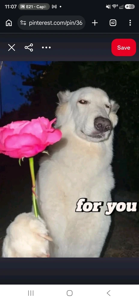 GIF uploaded by Nickolas