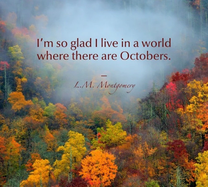 GIF uploaded by ℳℴ𝓇𝓃𝒾𝓃ℊ𝓈𝓉𝒶𝓇
