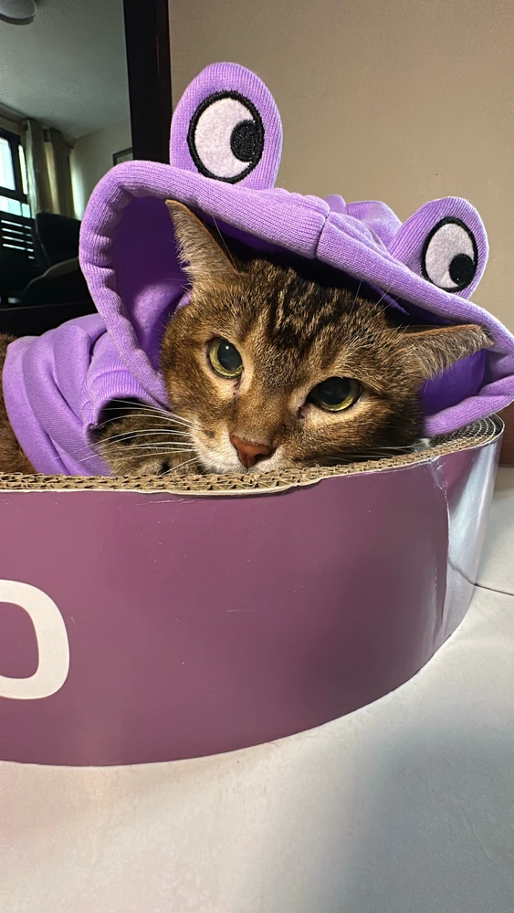 GIF uploaded by Sab
