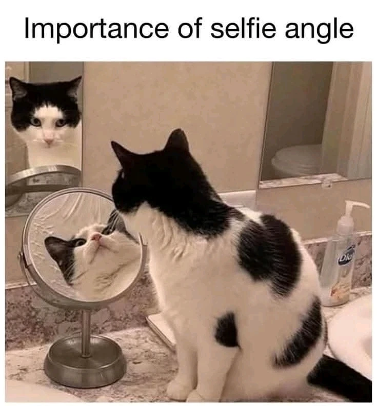 د ItsMe لخوا GIF اپلوډ شوی