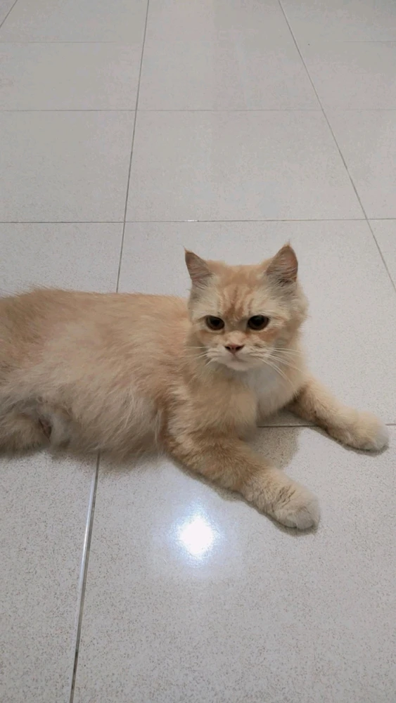 GIF uploaded by Isah
