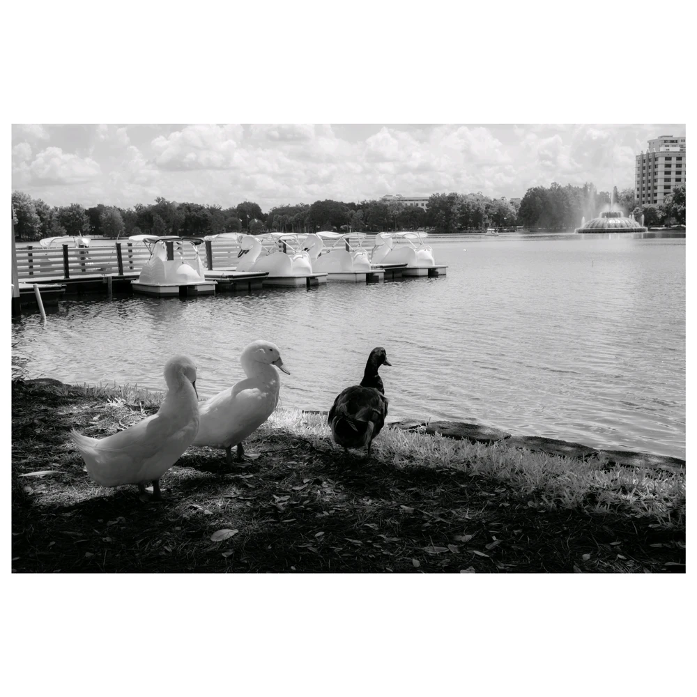 Image uploaded by Abdiel