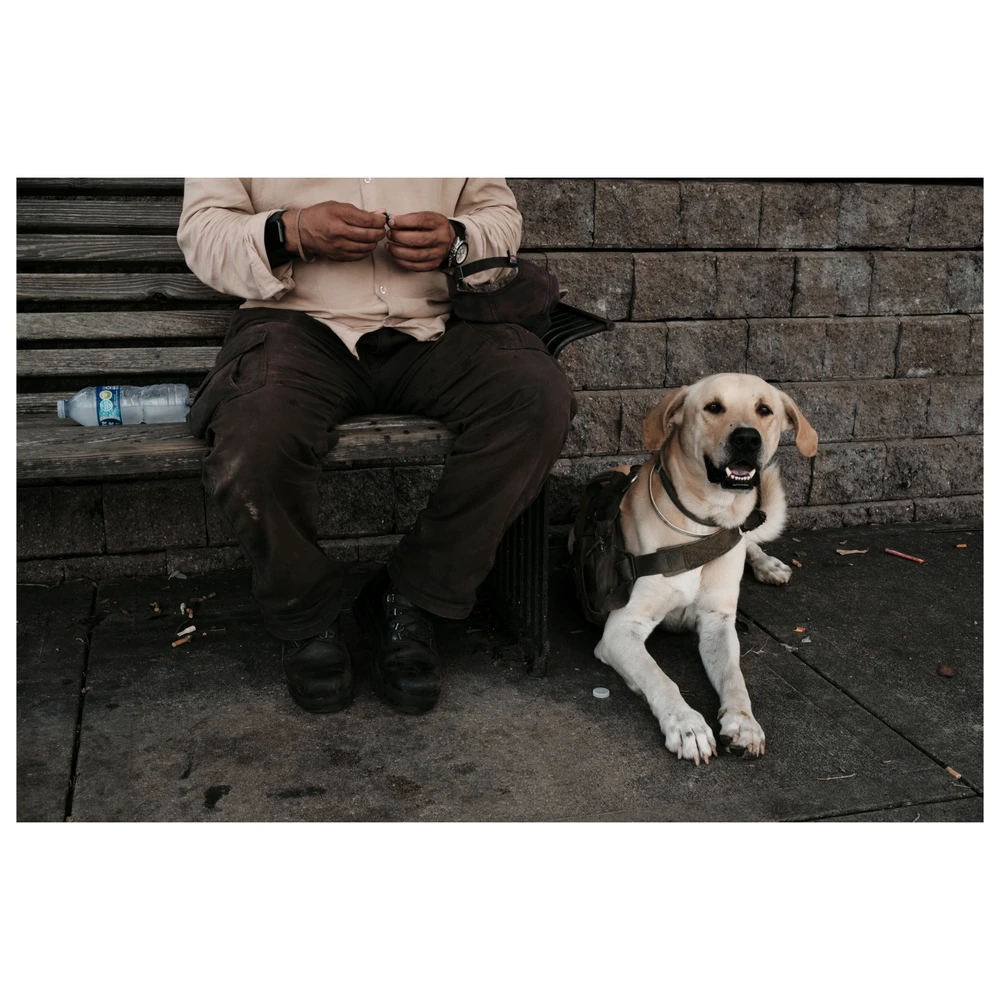 Image uploaded by Abdiel