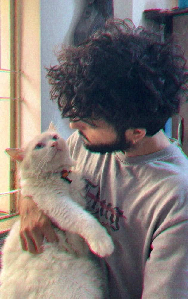 GIF Manav te mete