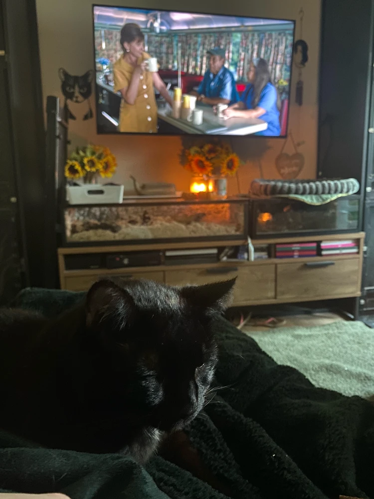 Lola ले अपलोड गरेको GIF