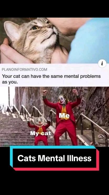 GIF uploaded by Chad