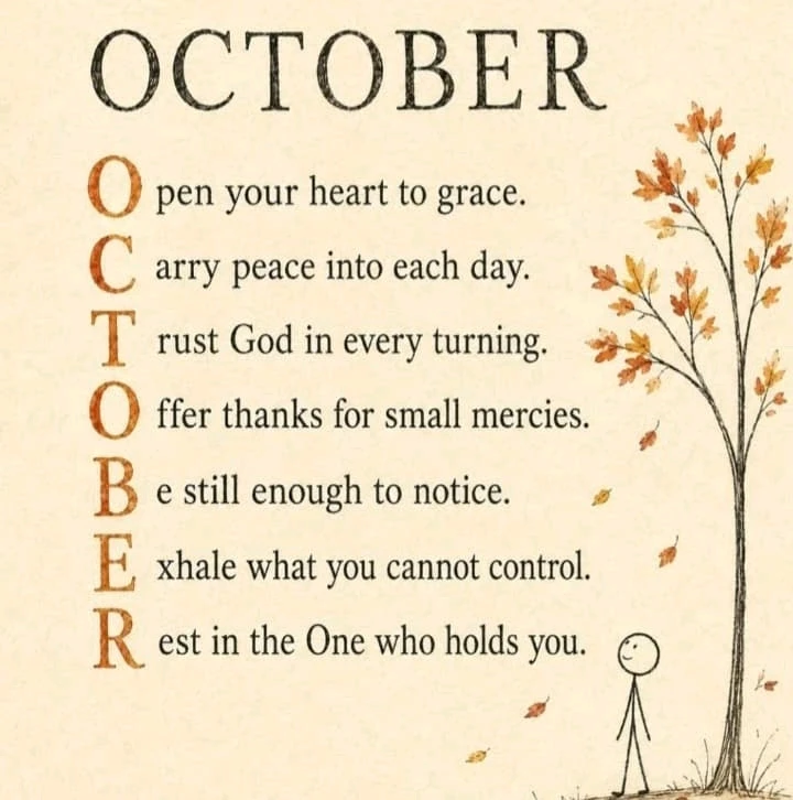 GIF uploaded by maria alice