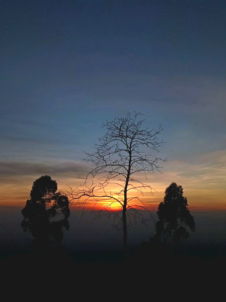 Image uploaded by Rani