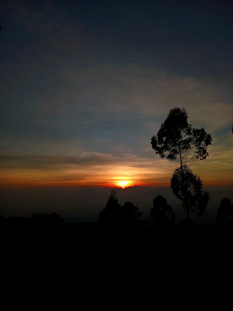Image uploaded by Rani