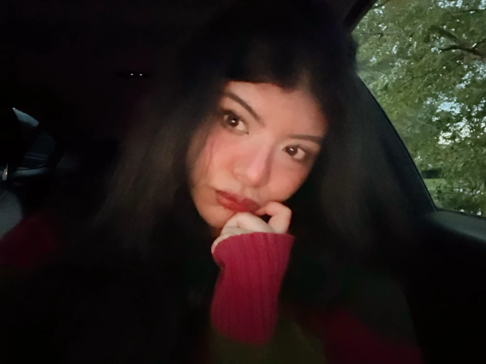 GIF Rox te mete