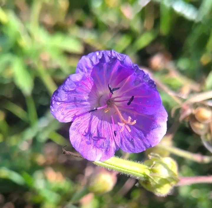 GIF uploaded by Samuel