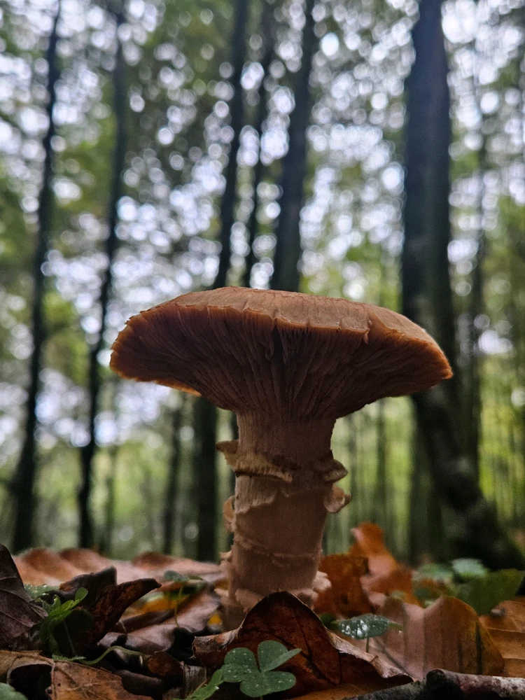 Фото загрузил Victor