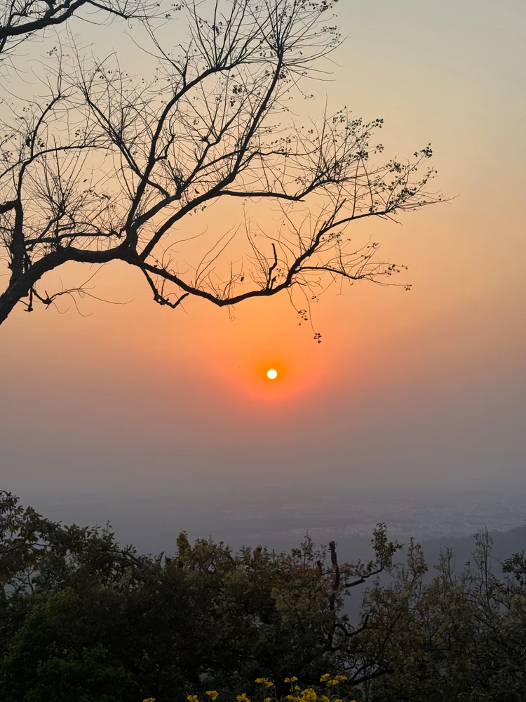 सैफ ଦ୍ୱାରା ଅପଲୋଡ୍ କରାଯାଇଥିବା ଫଟୋ