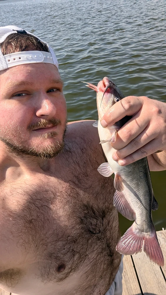 GIF dodany przez Paddy