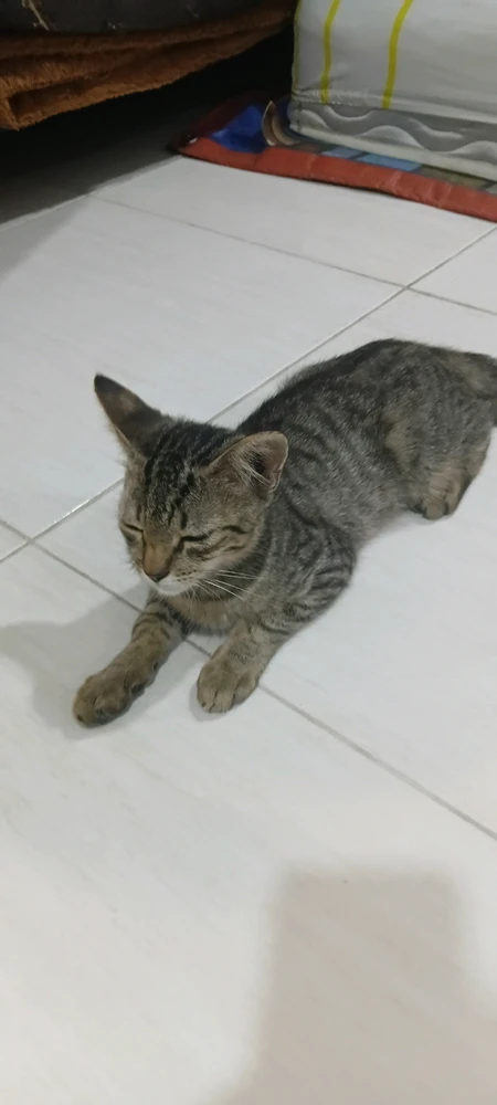 GIF uploaded by Michi