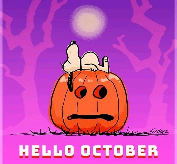 GIF uploaded by Saff