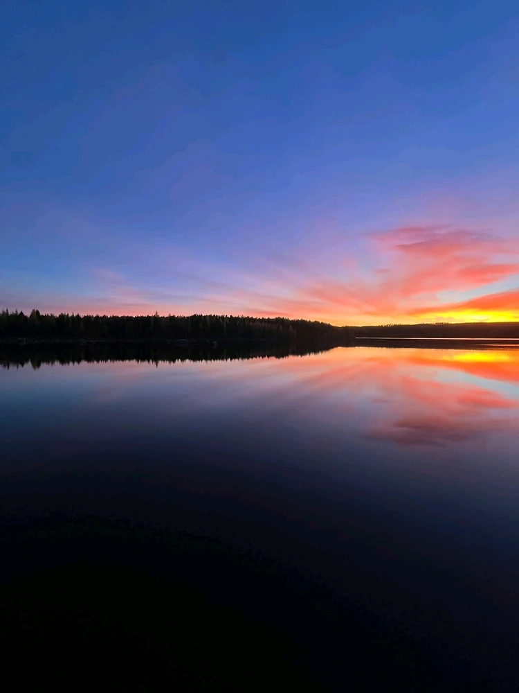Image uploaded by Winter