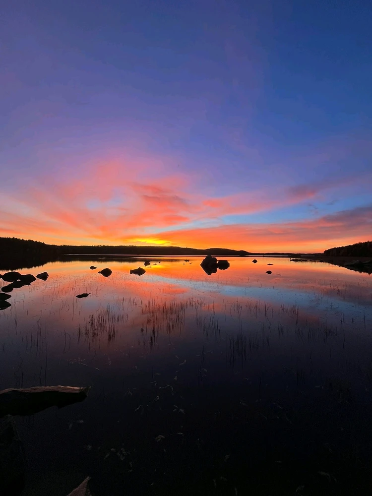 Image uploaded by Winter