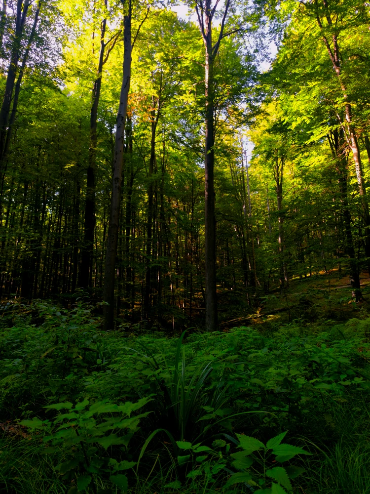 GIF uploaded by Tea