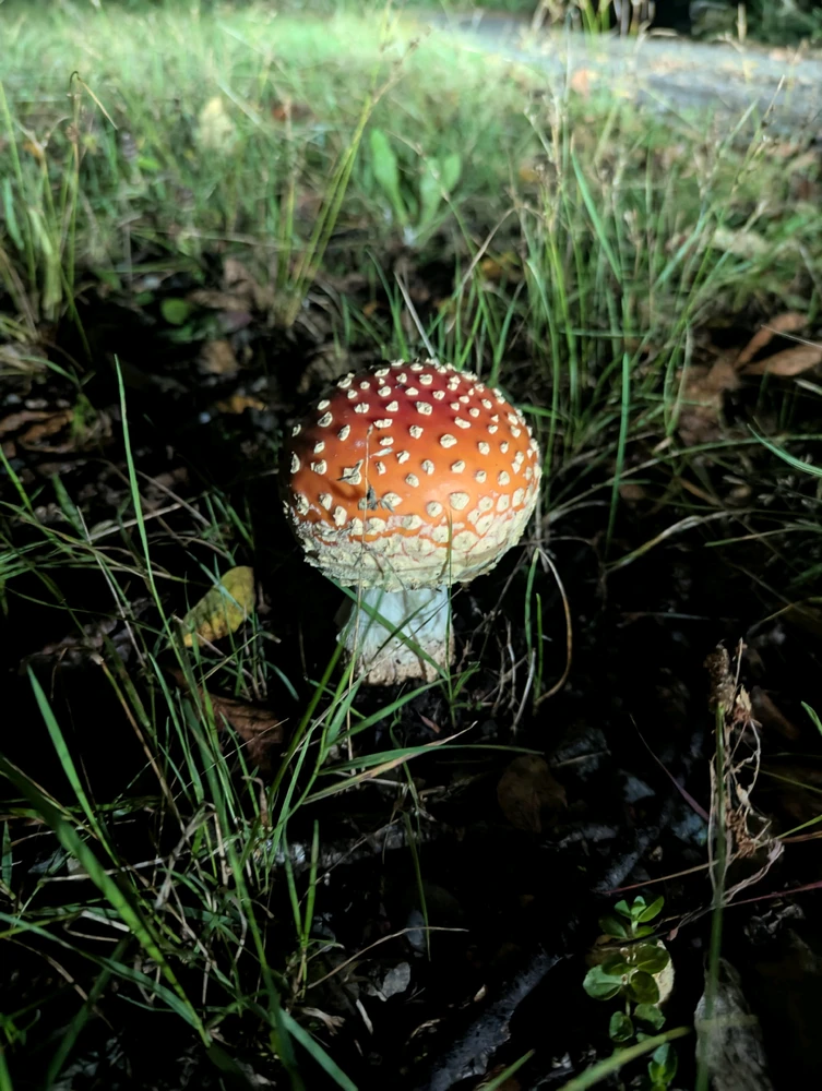 GIF uploaded by bradley