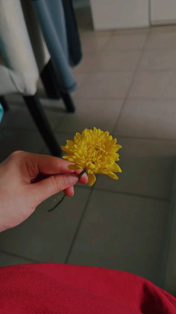 Ro жүктөгөн GIF