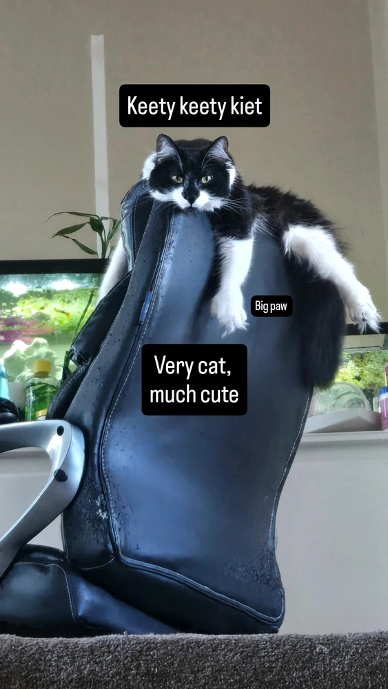GIF uploaded by Matthew
