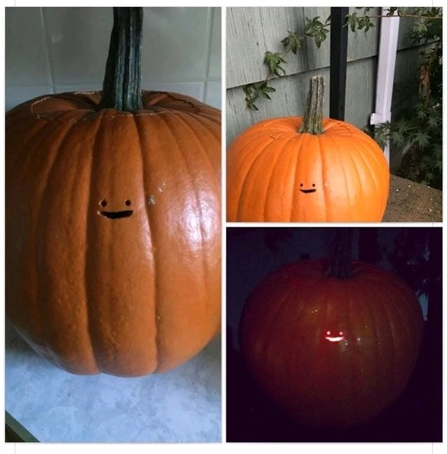 GIF uploaded by Chris