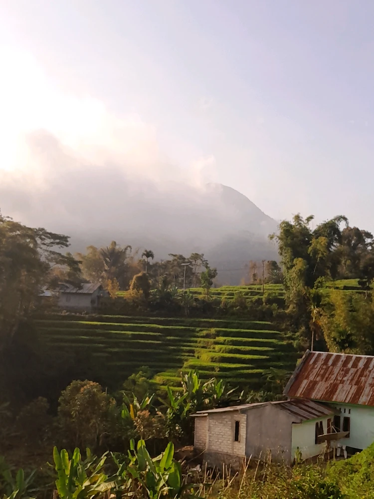 Image uploaded by Hilari