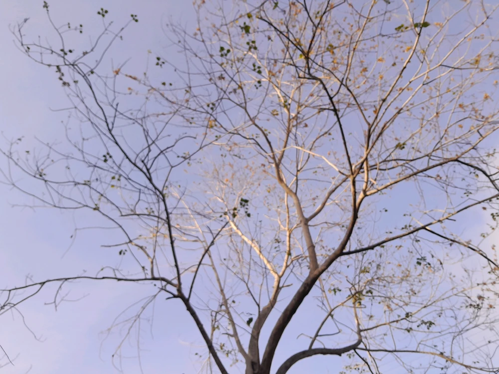 Image uploaded by Hilari