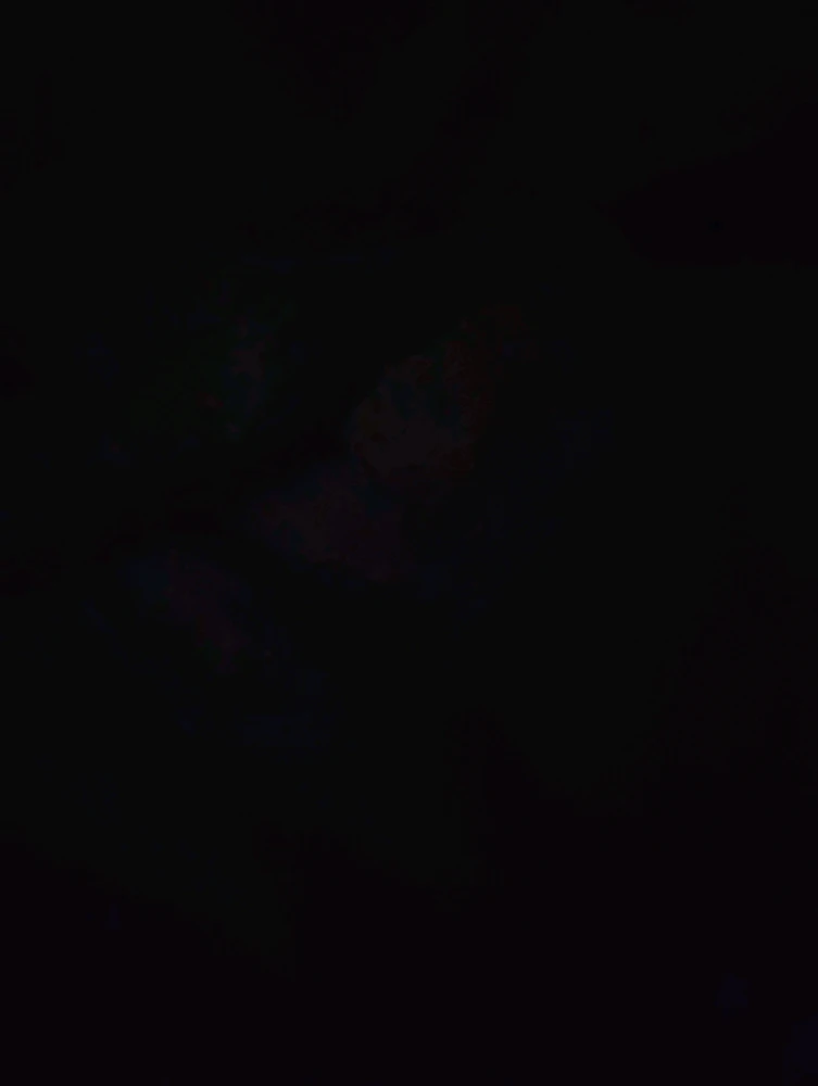 GIF yakaiswa naRyley