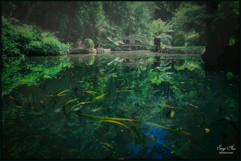 GIF uploaded by Serge Aus