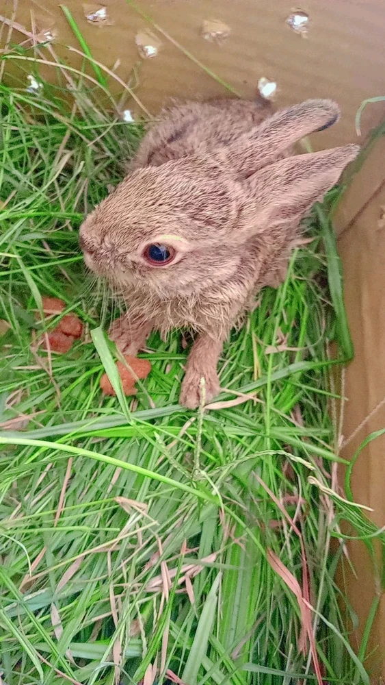 GIF uploaded by Prakash Matang