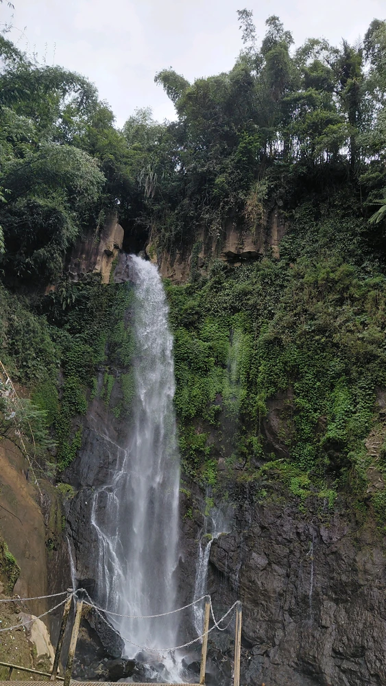 GIF uploaded by ara