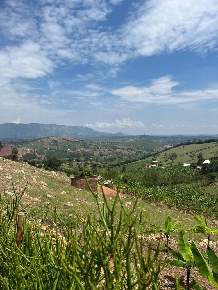 Image uploaded by Pauline kyambadde