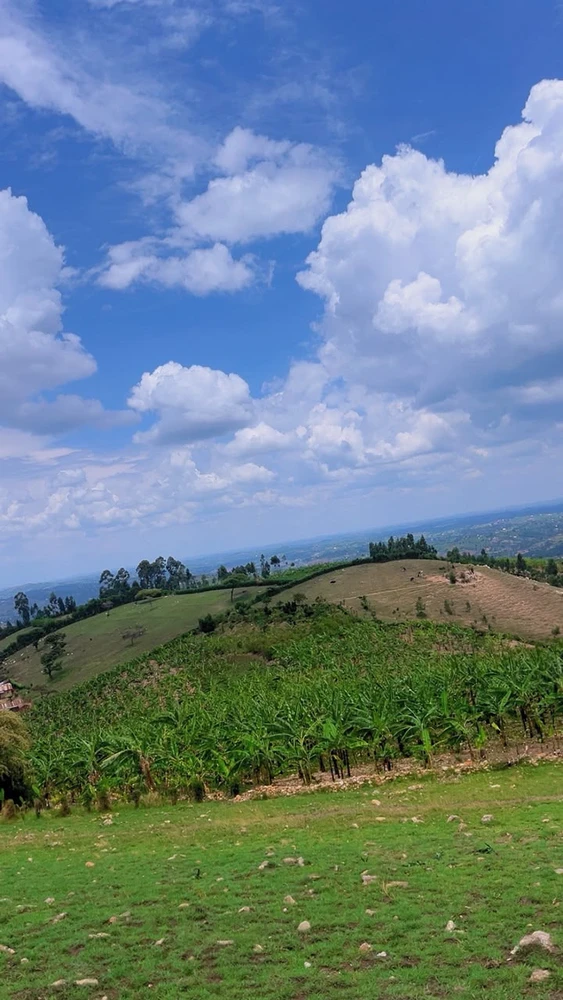 Image uploaded by Pauline kyambadde