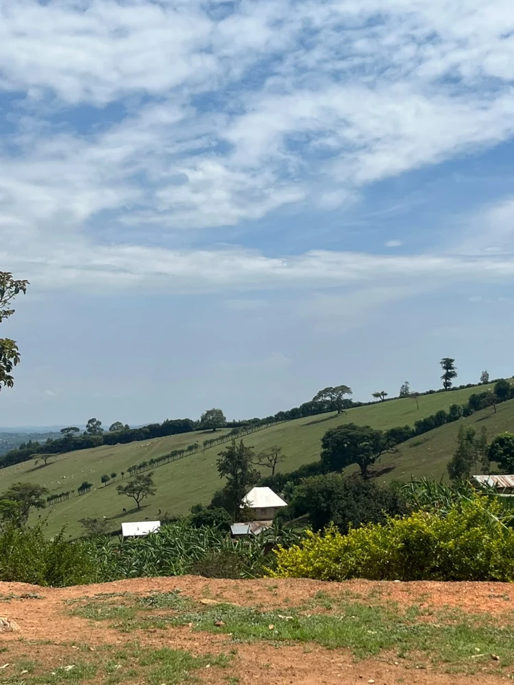 Image uploaded by Pauline kyambadde