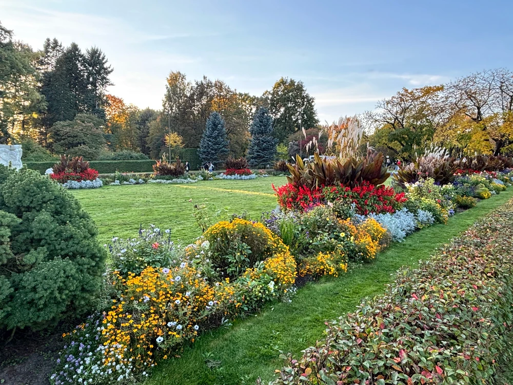 Image uploaded by Olya