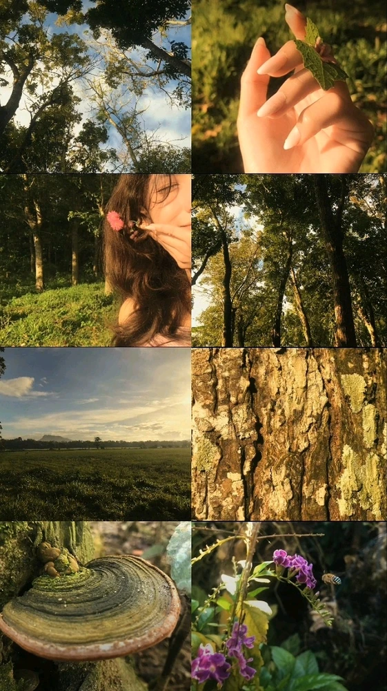 GIF nke Maya bugoro