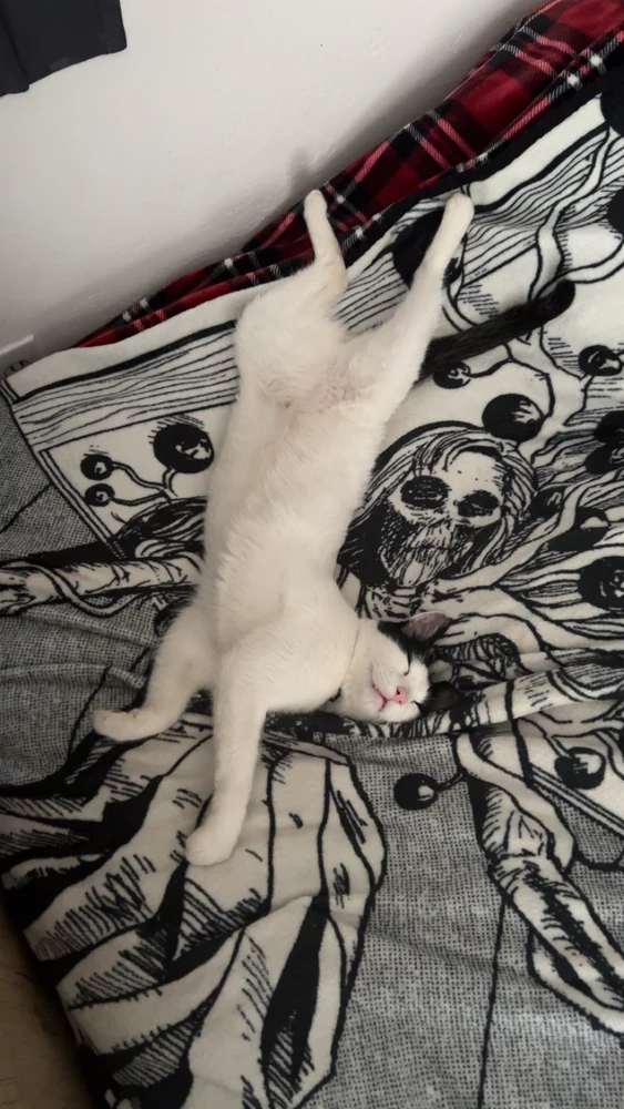 Image uploaded by Amos
