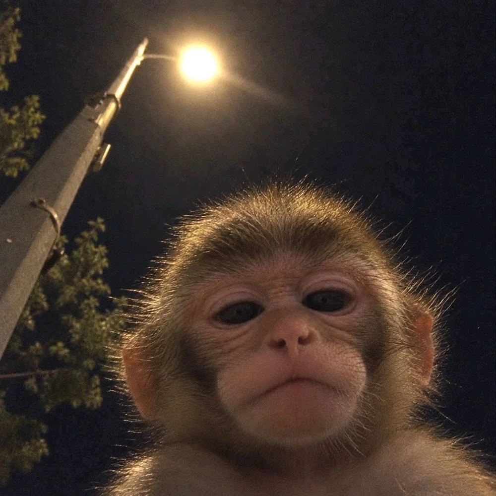 GIF загружаны ꨄ𝐃ꨄ