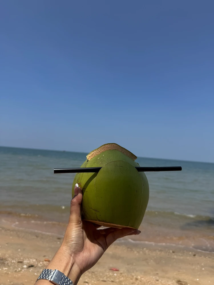 د Molly لخوا GIF اپلوډ شوی