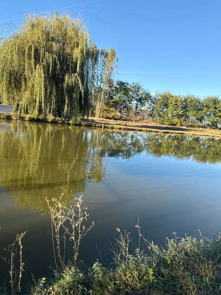 GIF yakaiswa naCătălin