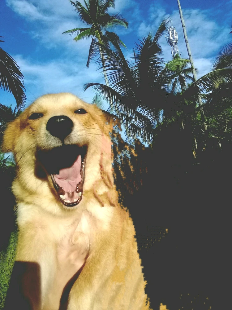 GIF diunggah ku FRITZY