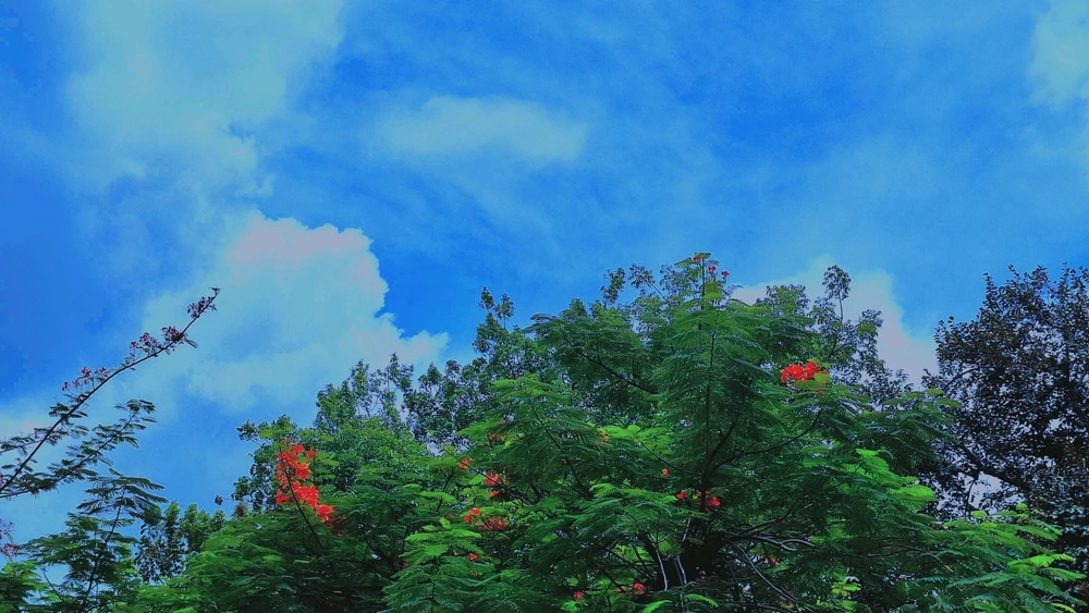 Gany tomonidan yuklangan GIF