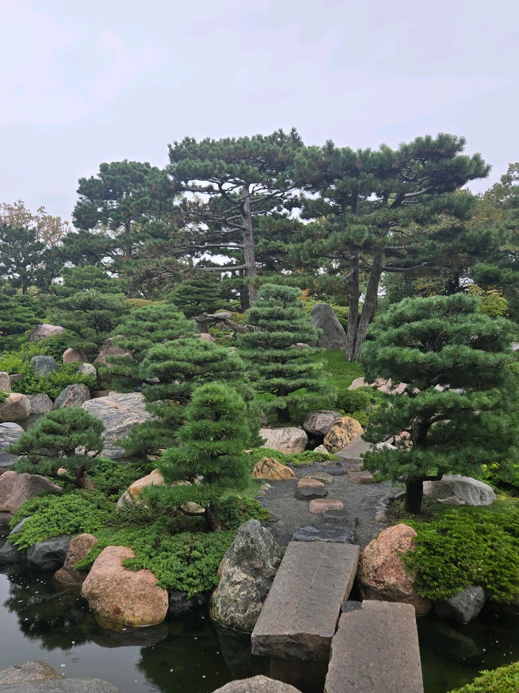 Image uploaded by Dre