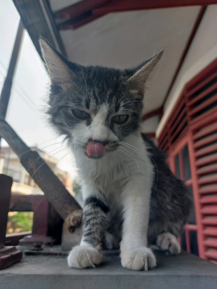 GIF uploaded by Aisy
