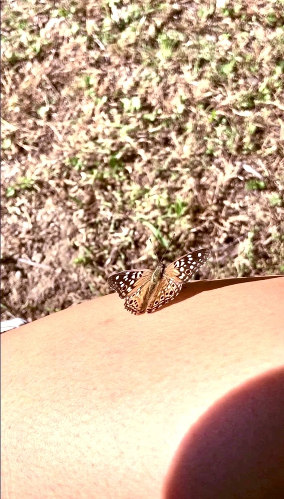 Lu દ્વારા અપલોડ કરેલ GIF