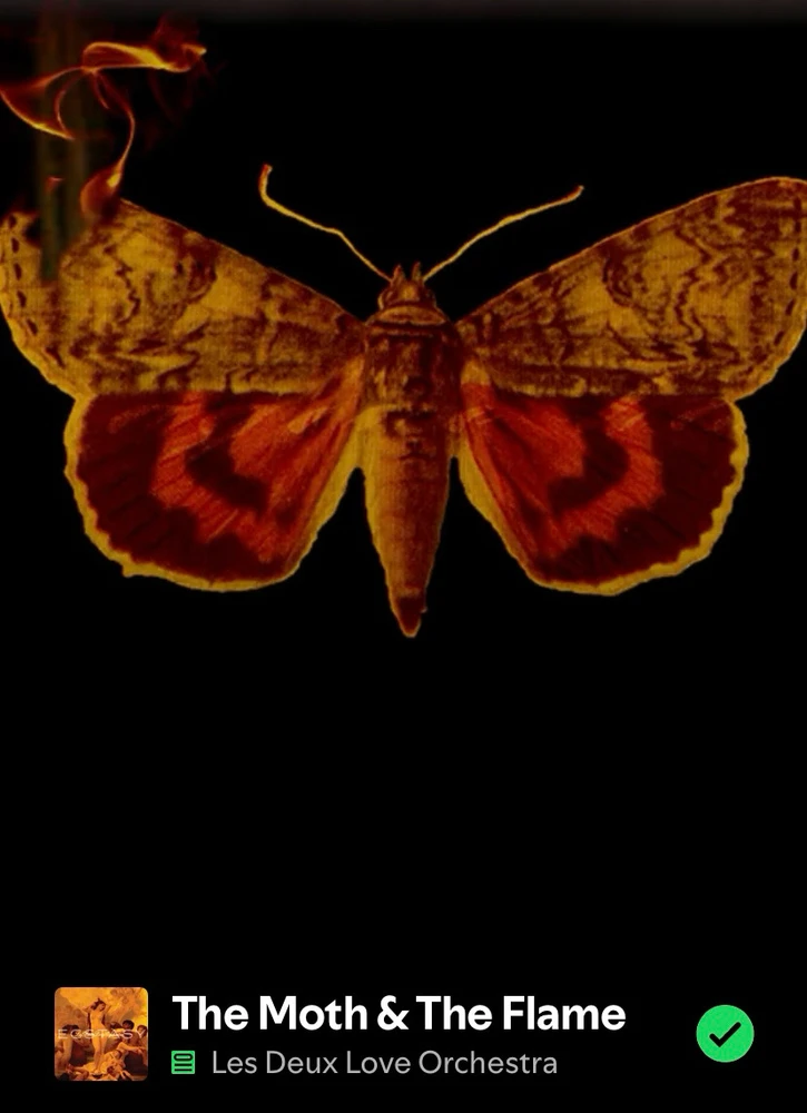 GIF uploaded by Kat