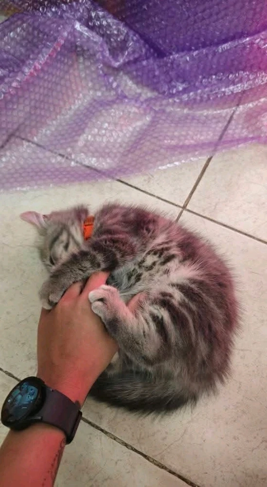 Sliku je postavio/la BB